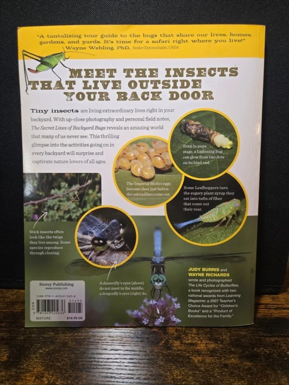 The Secret Lives of Backyard Bugs